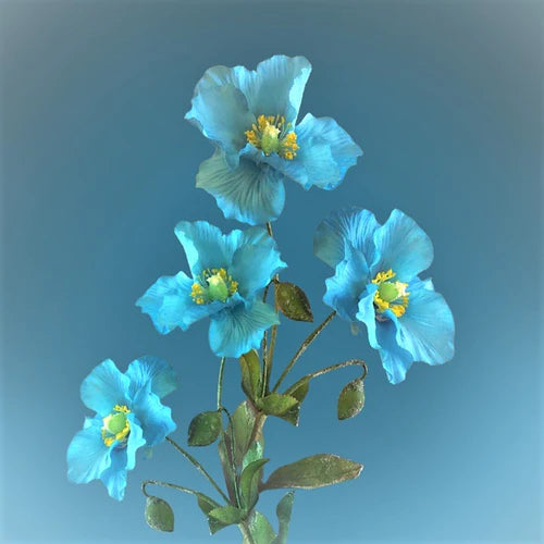Aqua Flowers - Limited
